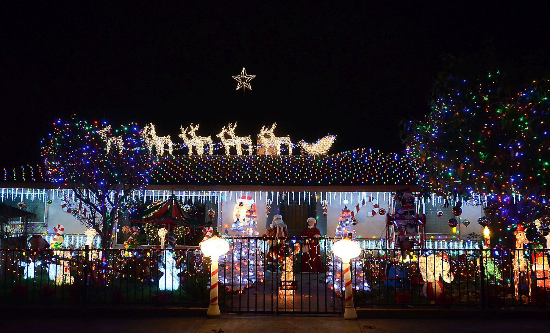 Napa Christmas lights